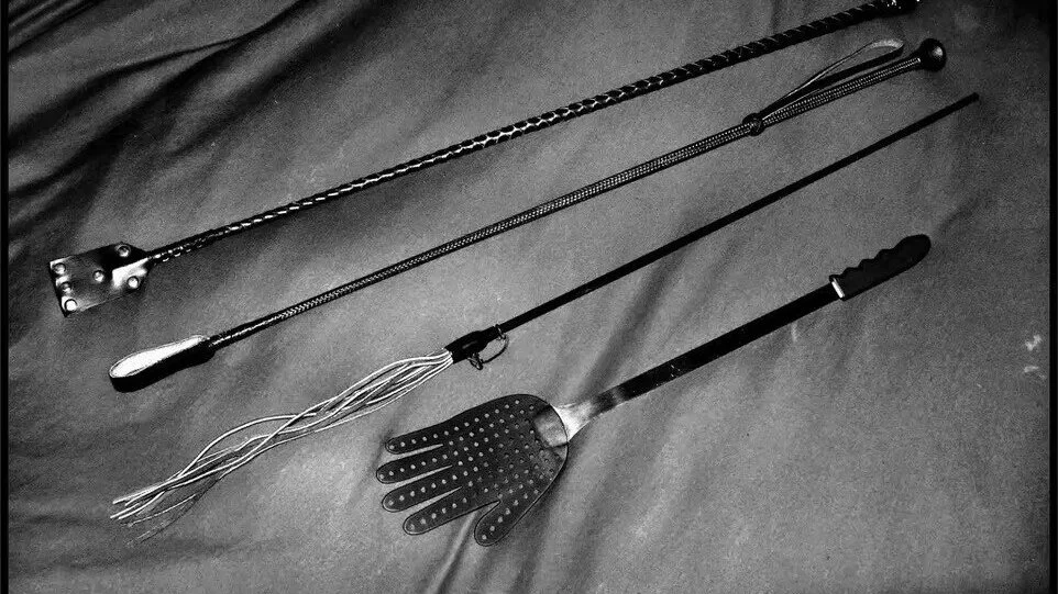 K9犬系：探索你的内心深处，揭开成就与服从的秘密 一