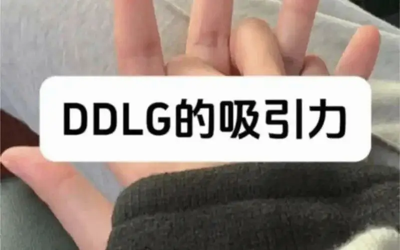 k8猫系的魅力与秘密，你准备好探索了吗？ 一