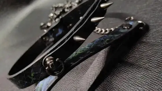 SP小圈的新发现，是情趣游戏的秘密武器吗？ 一