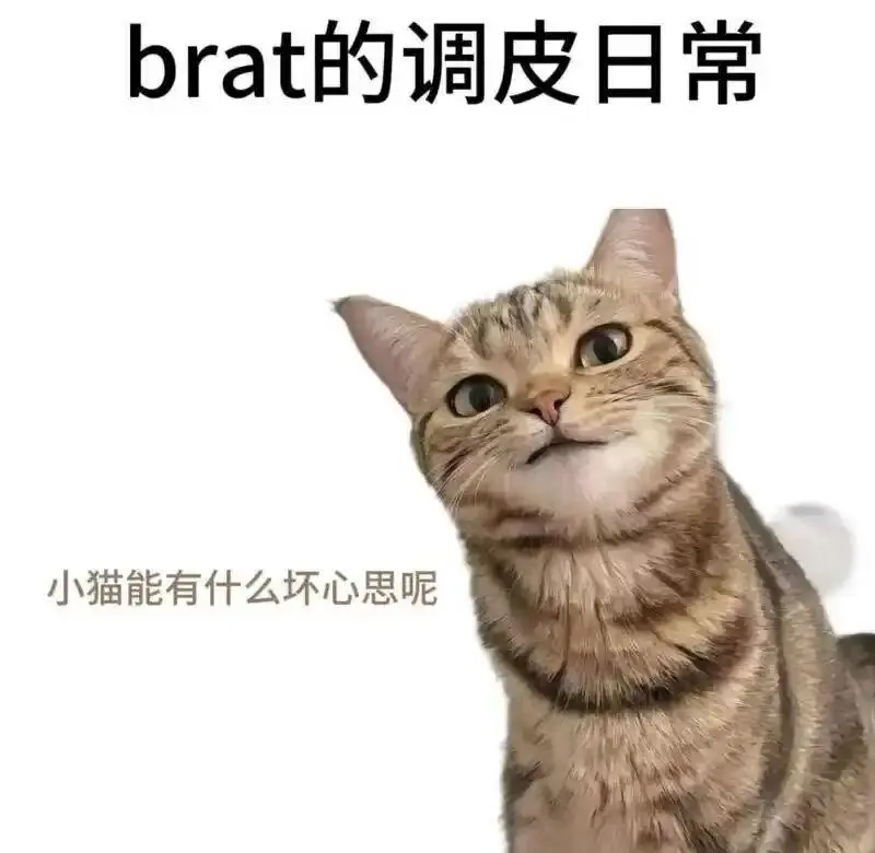 “K8是什么？”深度解析这个神秘词汇的背后含义！ 一