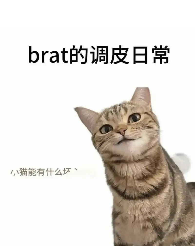 brat属性到底是什么？探秘这一独特的性癖现象 一
