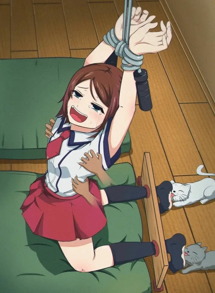 sub是什么？它背后隐藏的真实秘密你了解吗？ 一