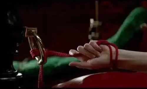 “SP小圈”你准备好探索全新交友方式了吗？ 一