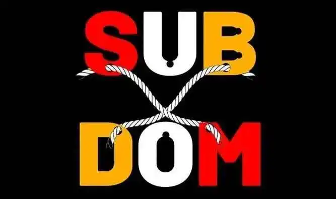 “dom”究竟代表什么？探索支配者的深层次魅力与角色认知 一