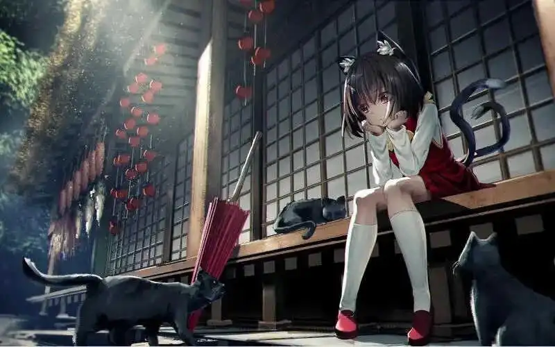 ddlg到底是什么属性？你需要了解的那些事儿！ 一