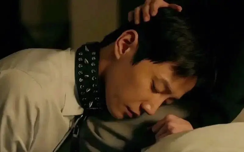 “你了解k9犬系的魅力和挑战吗？” 一