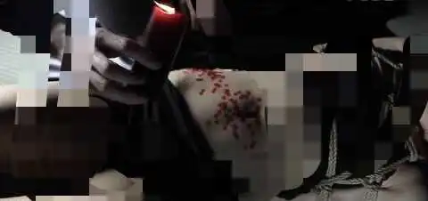 你知道k8是什么吗？揭秘这个字母圈中的猫奴角色！ 一