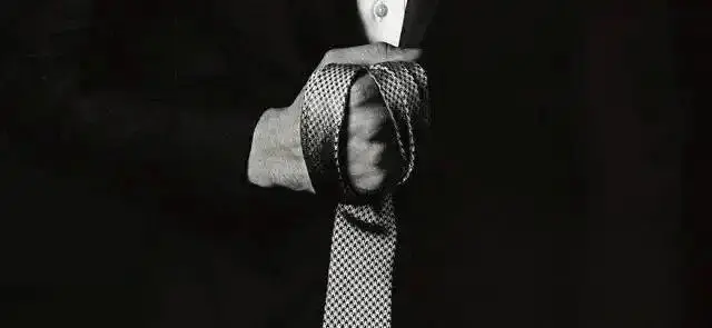 k8猫系是什么？探索这个迷人世界的奥秘与魅力 一