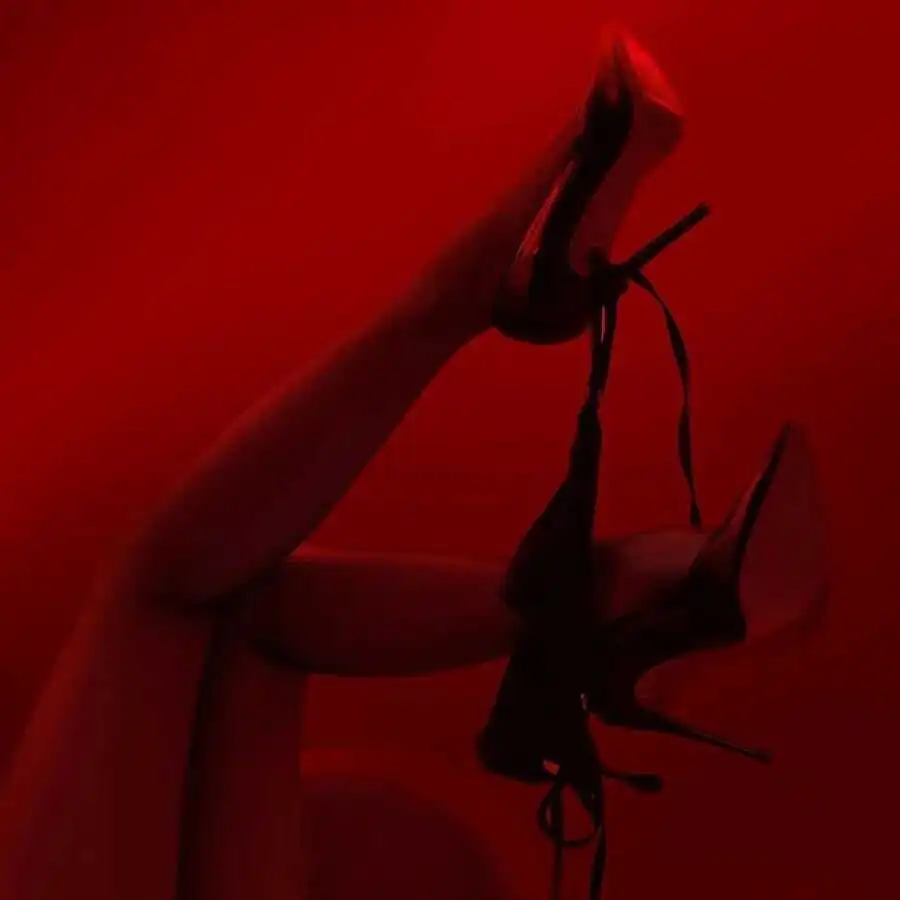 圈内新人必看：深入解析K9是什么及其在角色扮演中的魅力 一