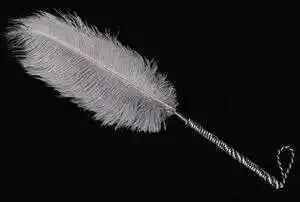 我的brat属性男友，调皮又可爱！ 一