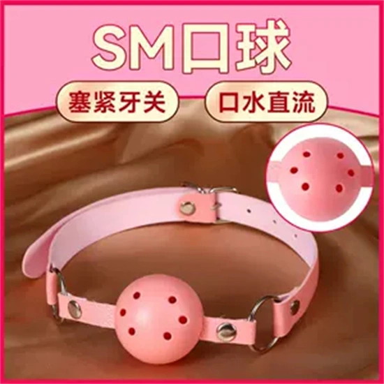 我和女王的秘密游戏 一