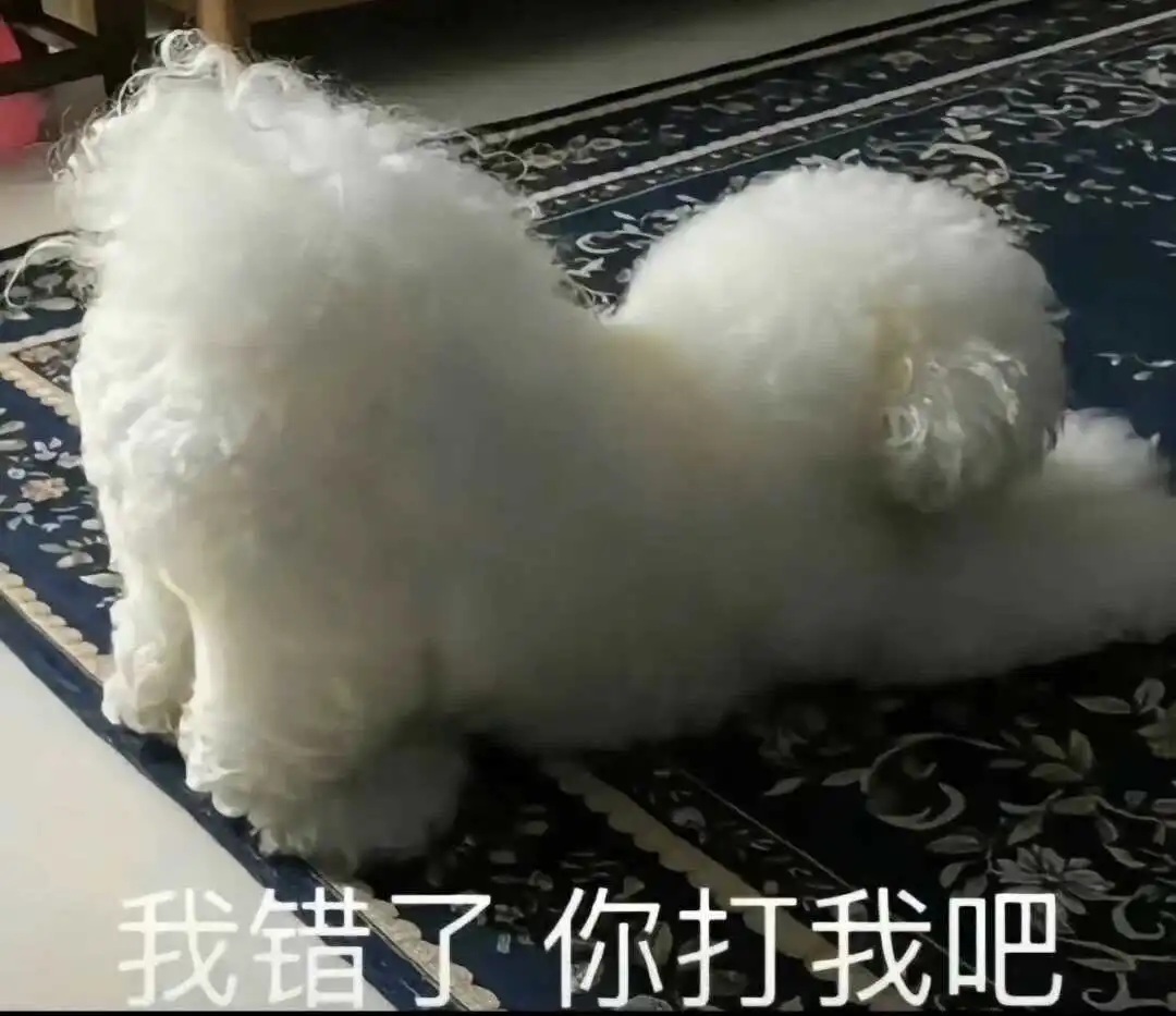 “如何快速融入sp小圈：你的入圈必备指南” 一