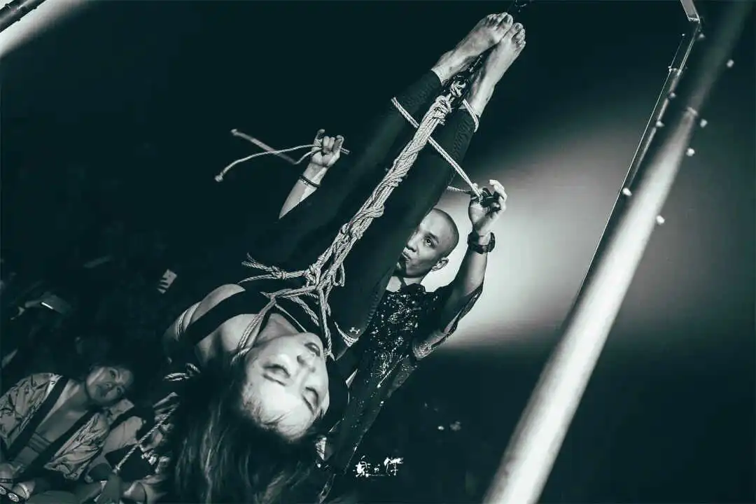 s属性到底是什么？如何找到你的真实倾向和喜好？ 一