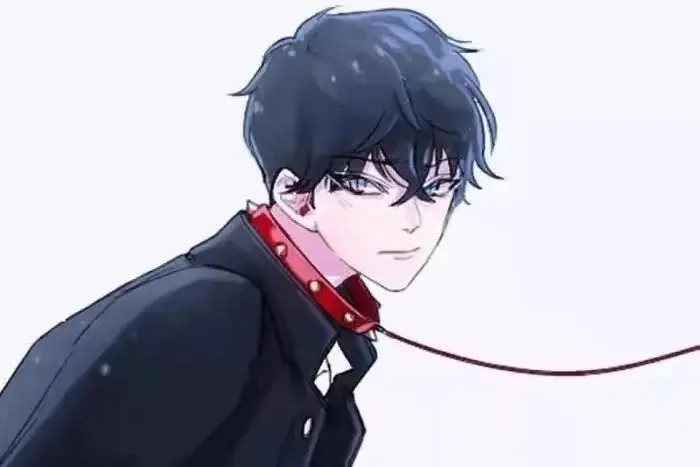 s属性是什么？深入了解你的内心需求！ 一