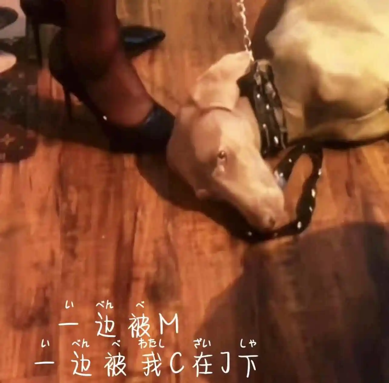 西檬之家字母圈新人如何正确入圈? 一