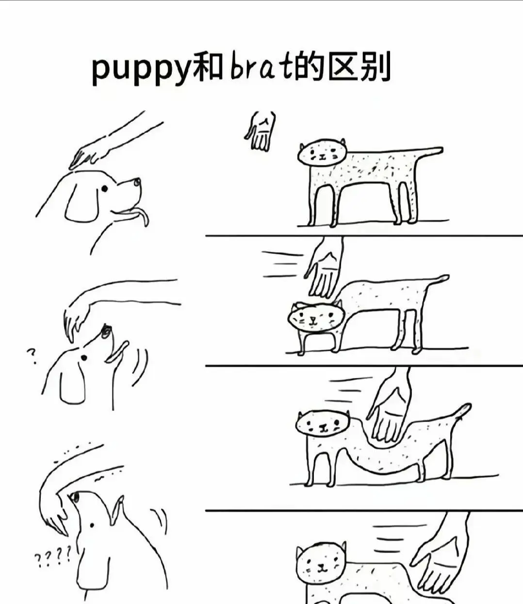 西檬之家什么是m倾向?你的字母圈属性 一
