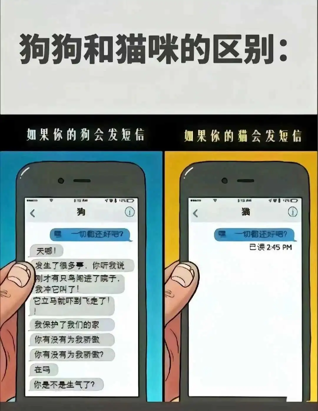 西檬之家斯慕圈新人入圈指南 一