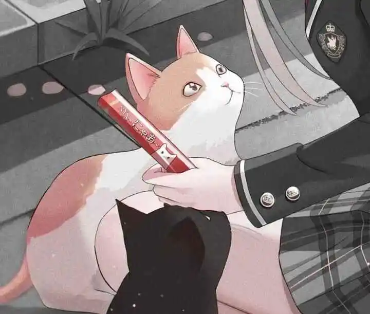 西檬之家k8猫系是什么意思？ 一